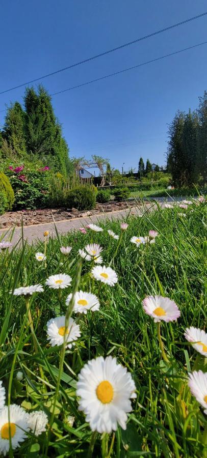 Villa Трушки34 Trushki Exterior foto