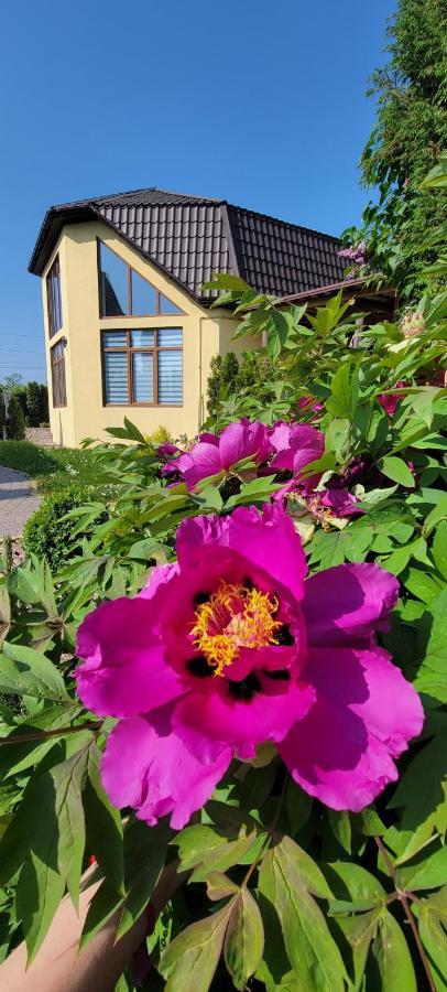 Villa Трушки34 Trushki Exterior foto